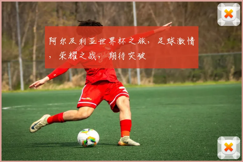 阿尔及利亚世界杯之旅，足球激情，荣耀之战，期待突破