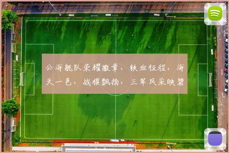 公海舰队荣耀徽章，铁血征程，海天一色，战旗飘扬，三军风采映碧波，扬帆远航。