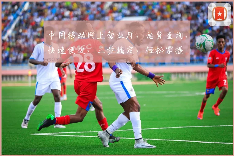 中国移动网上营业厅，话费查询，快速便捷，三步搞定，轻松掌握