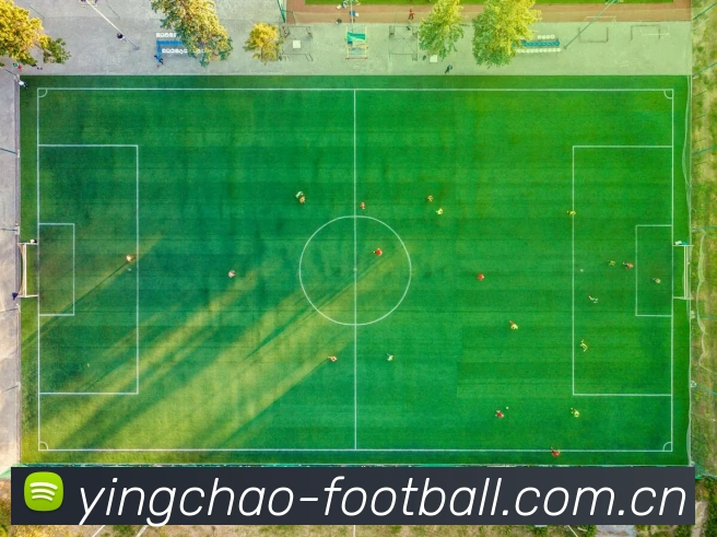 英超投注正规网站平台生态图