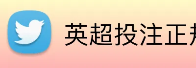 英超投注正规网站 Logo